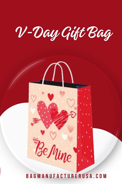 Valentines Day Gift Bag